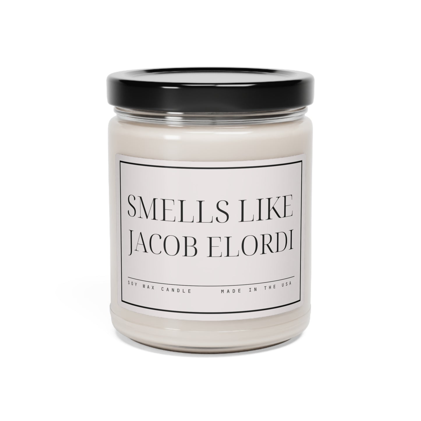 Smells Like Jacob Elordi Candle, Bath Water, Saltburn Candle,  Funny Candle, Celebrity Candle, Scented Soy Candle, Gift for Sister