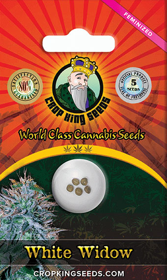 Crop King Marijuana Seeds - White Widow Strain