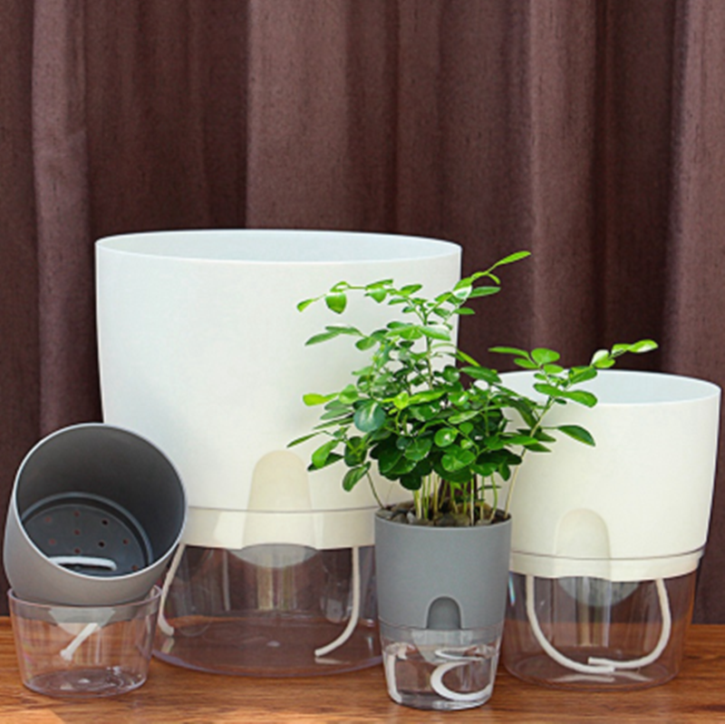 Transparent Plastic Bonsai Green Radish Pots