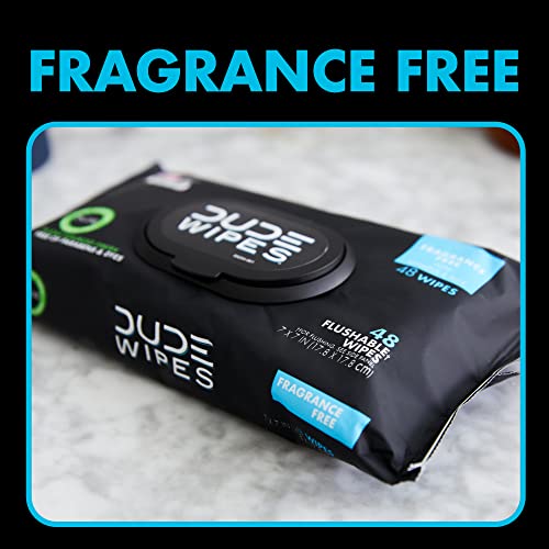 DUDE Wipes Flushable Wipes - 1 Pack, 48 Wipes